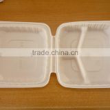 (YC-LB01) plastic green lunch box