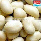 Organic Roasted Peanuts All Size