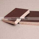 Poplar Plywood Sheet for Construction Plywood thumbnail-2