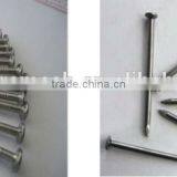 Loose Polished Common Round Iron Wire Nails thumbnail-1