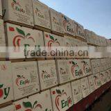 Apples Container in QINGDAO thumbnail-2