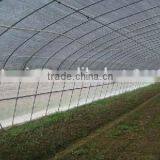 Anti Insect Net Factory Price