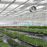 Polycarbonate Sheet Greenhouse thumbnail-3