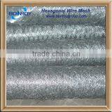 Hot Sale Hot Galvanized Heavy Type Hexagonal Wire Mesh
