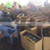 Super High Counting Raw Agarbatti 8,9'' From 950-1115 Stick/kg thumbnail-5