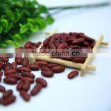 Dark Red Kidney Beans thumbnail-2