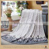 Blanket Factory China Cheap Wholesale Plush Super Soft Cuddly Promotion Blanket