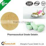 Dietary Supplement of Gelatin for Capsules Using Human Consumption