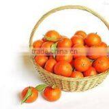 Handmade Wicker Gift Basket/ Wicker Gift Baskets/handmade Flower Basket thumbnail-1