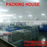 PICKLED SUSHI SALTED GINGER thumbnail-3