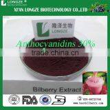 Bilberry Extract Vaccinium Myrtillus Extract Powder With Anthocyanidin 25% by UV Test Method thumbnail-3