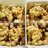 Fresh Young Ginger thumbnail-1