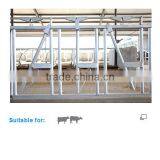 Cattle Farms Cow Head Lock for Locking Animal thumbnail-3