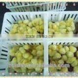 680mm*490m pp Chicks Transport Box for Logistic thumbnail-4