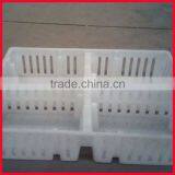 Plastic Chicken Tranport Stackable Cage/box/crate for Child Chicken thumbnail-5