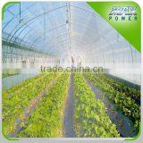 200micro Plastic Film Tunnel Greenhouse Used thumbnail-1