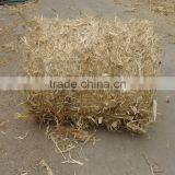 Hay Bale for Sale/small Round Hay Baler thumbnail-6