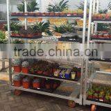 316 Conservatory Car Flower Transport Trolley Cart thumbnail-4
