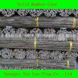 Raw Bamboo Poles Price thumbnail-1