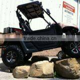 UTV 800 SPORT thumbnail-3