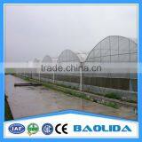 Multi-span Tunnel Greenhouse thumbnail-3