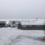 Live Canadian Lobster thumbnail-5