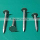 Galvanized Cupper Nails With Factory Price thumbnail-2