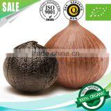 Super Anti-oxidant Japanese Fermented Solo Clove Black Garlic thumbnail-1