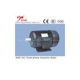 AEEF Series IEC Standard Three Phase Electric Motor kw thumbnail-1