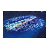 P10 SMD Carbon Fiber Indoor Full Color LED Display DVI / HDMI / HDSDI thumbnail-1