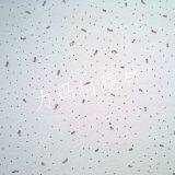 Mineral Woo Ceiling Board thumbnail-2