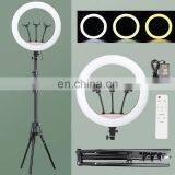 DDP Terms Wholesale Tik Tok Live Photography Dimmable 18 Inch LED Ring Light With Adjusted Bracket for Selfie Makeup thumbnail-4