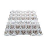 Hot Sale Plastic Egg Tray Mould