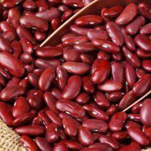 Red Kidney Bean