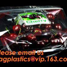 BIODEGRADABLE COMPOSTABLE, PLA, CORN STARCH PLA Stand Up Pouch Zipper Bag , Zipper Bag For Food, ECO FIRNEDLY, GREEN PAC