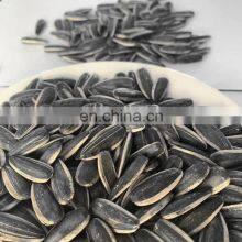 Manufacturer Roasted and Salted Sunflower Seeds Sunflower Roasted Seed for United Kingdom thumbnail-5