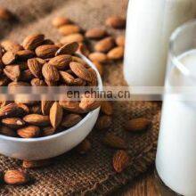 Almond Milk Production Complete Production Plant thumbnail-2