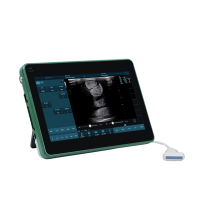 Veterinary Color Doppler Ultrasound for Animale BXL-DZ20 thumbnail-4