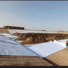 Customized Solar Related Products Geotextile White Ground Cover Reflective Sheet for Photovoltaic Solar Panel 5 Years