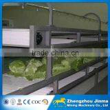 Adjustable Speed Vegetable Belt Conveyor Price Quality Choice thumbnail-5
