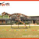 2016 New Dinosaur Skeleton Fossil Model for Sale