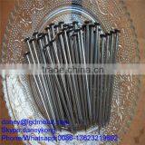 Common Nail--20 Years Factory CN-076D