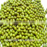 mung beans for food grade
