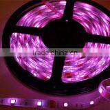 SMD5050 12V led strip lights, Decoration flexible strip light,flexible light strip