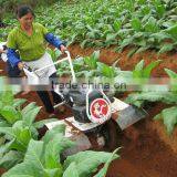 Two Wheel Tractor Small Farm Agricultural Ploughing Equipment thumbnail-5
