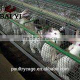 BAIYI Cheap Low Carbon Steel Wire Cage for Rabbit thumbnail-4