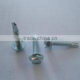 Zinc Plated Screw