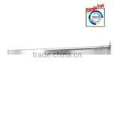 Galvanized Common Nail Made in China
