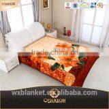 Factory Sale Blanket and Super Soft Raschel Blanket for Adults.