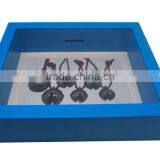 Plastic Bank Picture Frame in Many Colors, Eco-friendly,perfect for Premium Gifts (A641) thumbnail-4